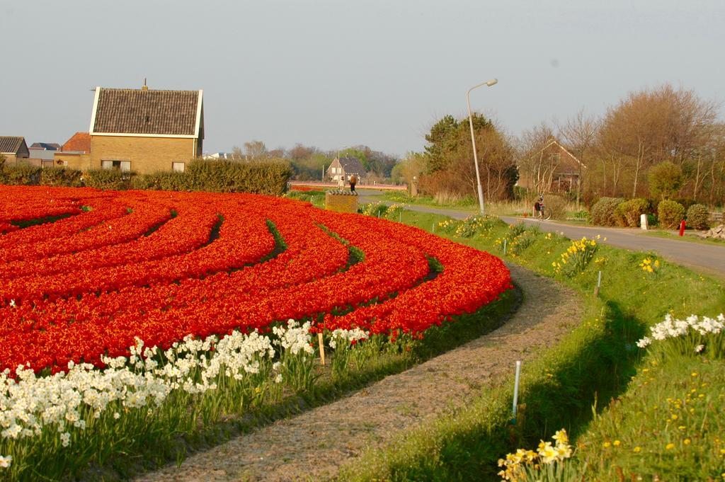 Hotel Prins Maurits Bergen aan Zee Esterno foto