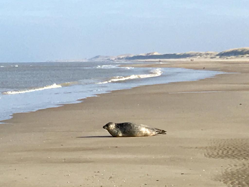 Hotel Prins Maurits Bergen aan Zee Esterno foto